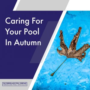 caring for your pool in autumn feature